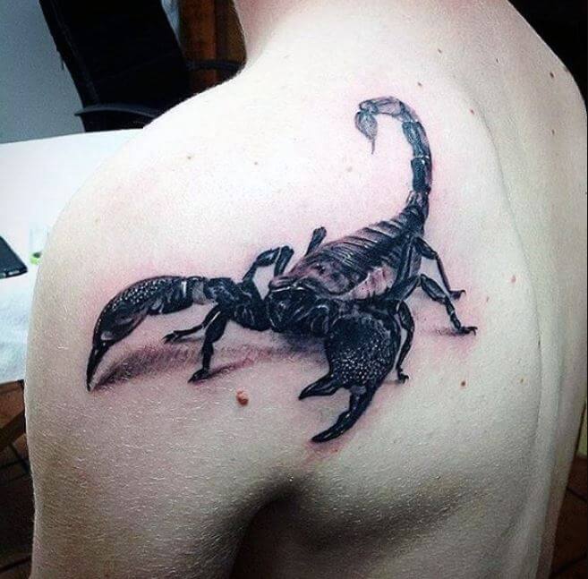Scorpion Shoulder Tattoos