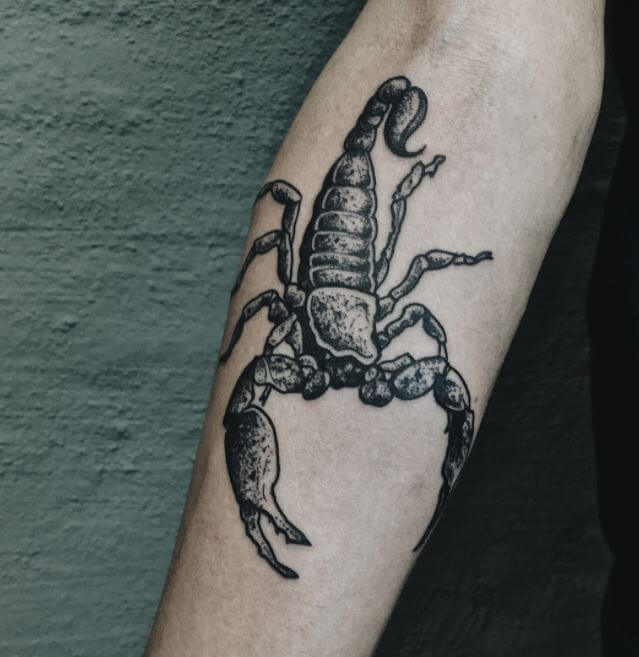 Scorpion Tattoo Lower Arm