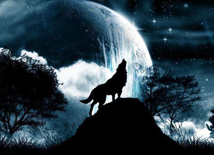 воющий волк на луну тату
