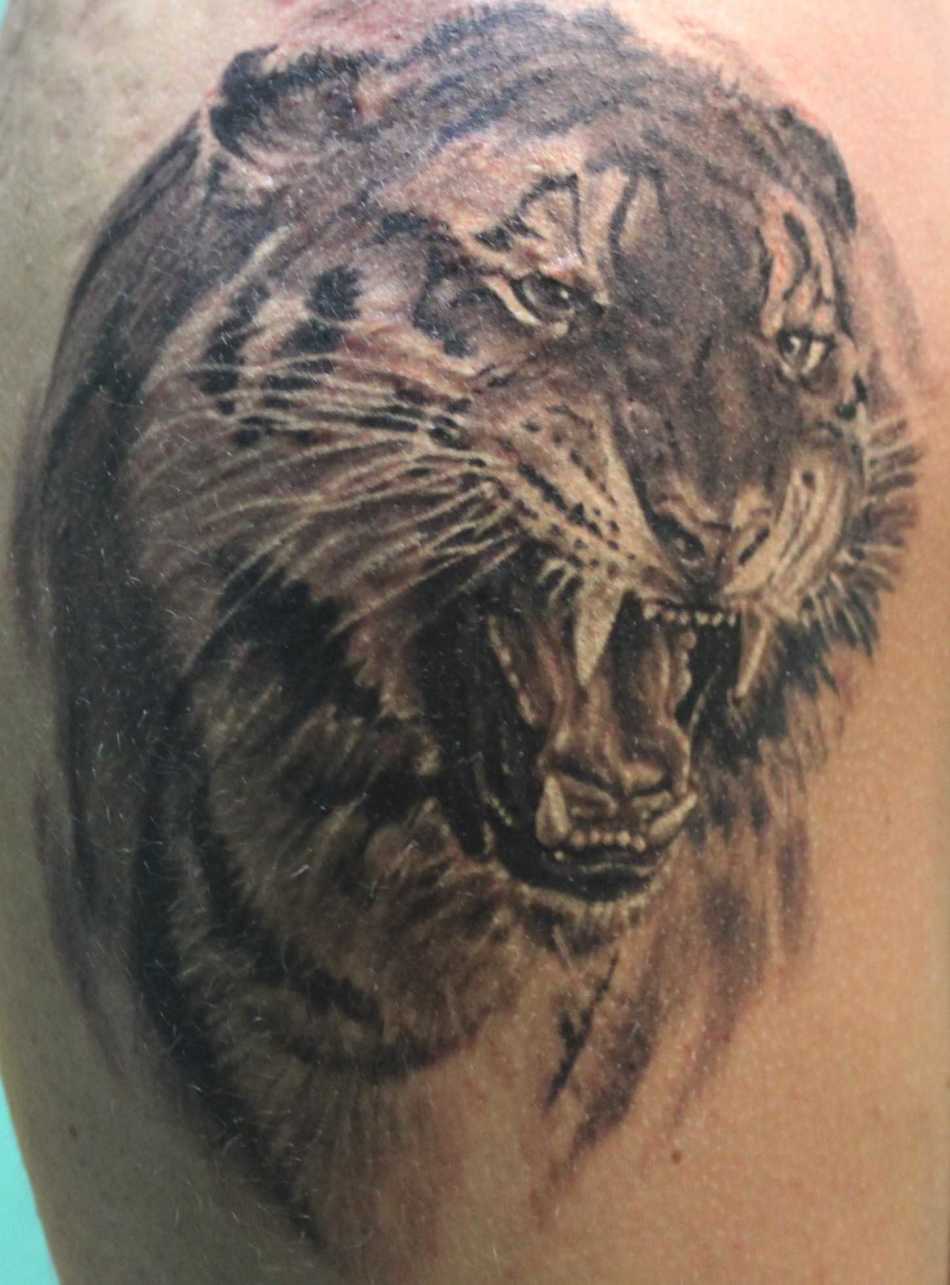 Тигр, который демонстрирует оскал, встречается и в тюремной татуировке