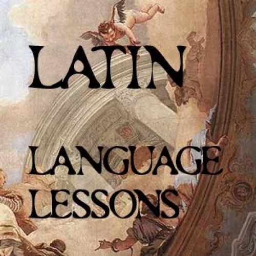Латинские афоризмы о медицине. Латинские пословицы