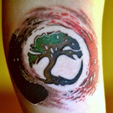 Татуировка на бицепсе парня - дерево