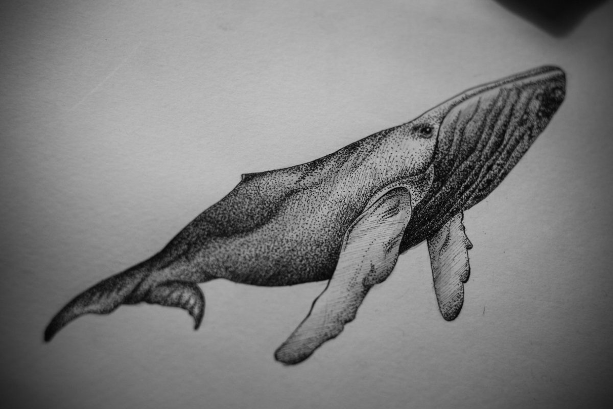 кит татуировка