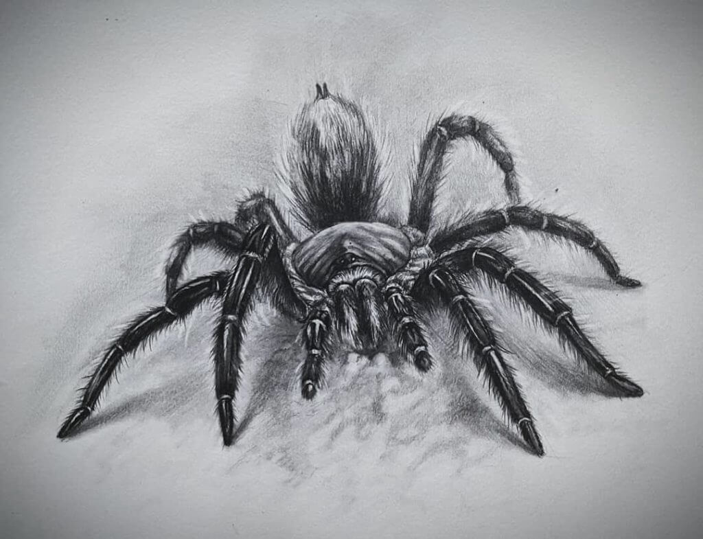 Эскиз Объёмный паук