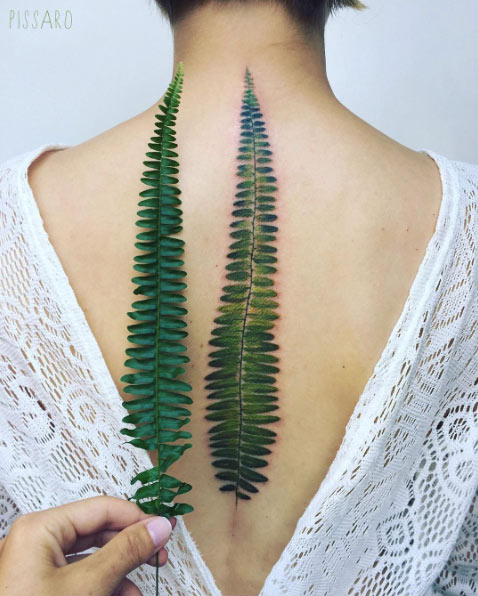 Large fern on back by Pis Saro