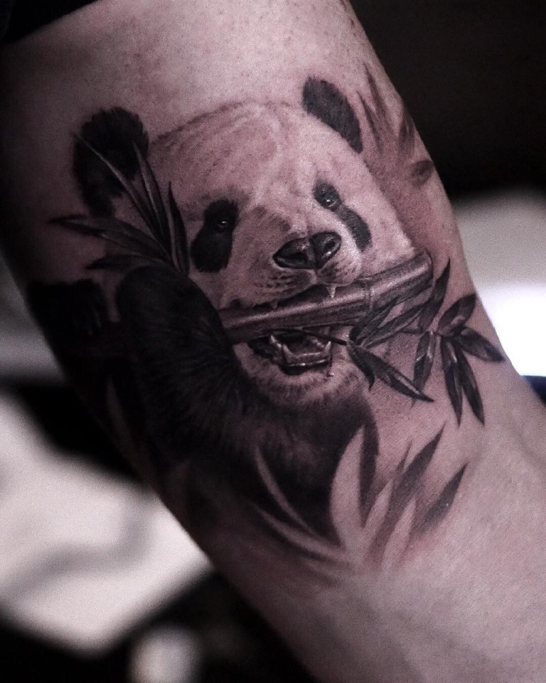 татуировки медведь
