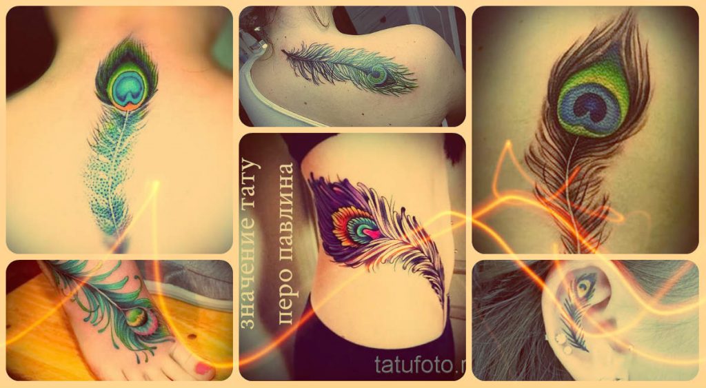 Значение тату перо павлина - информация и фото примеры с татуировками