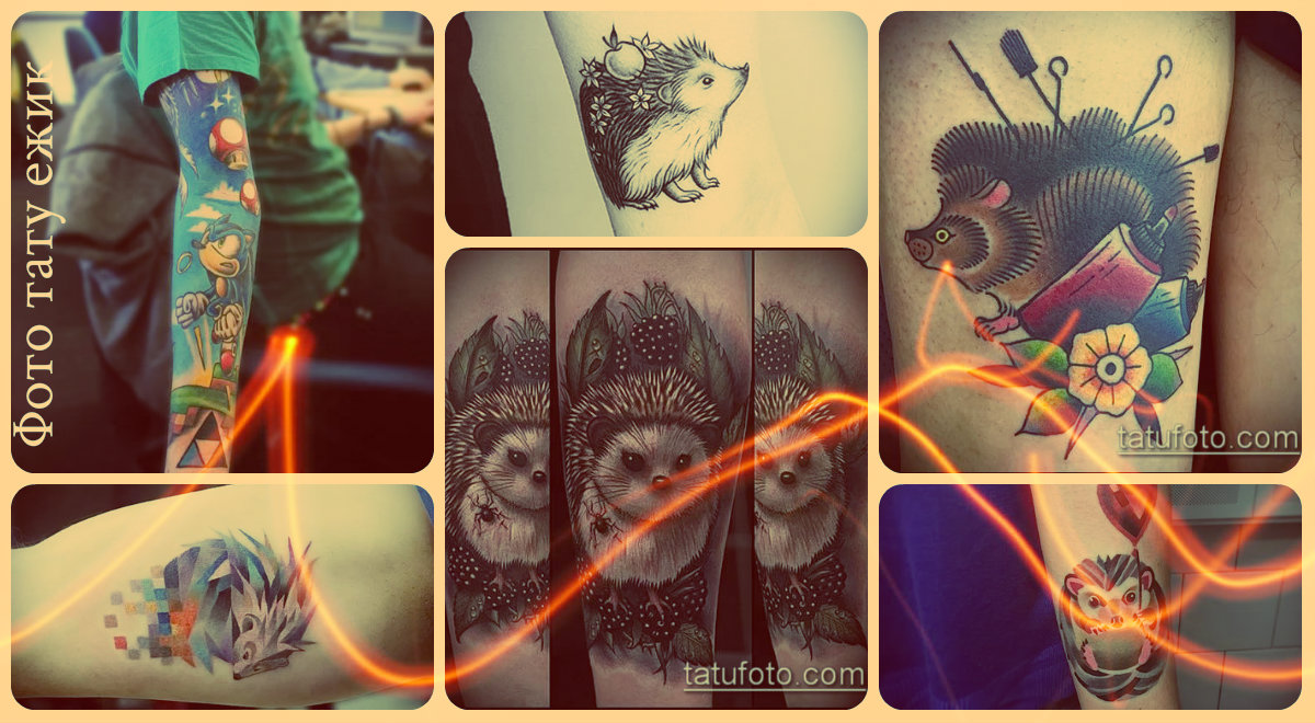 Фото тату ежик - варианты достойных готовых татуировок для выбора рисунка