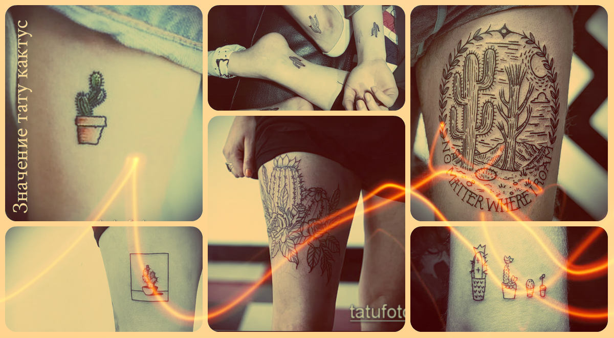Значение тату кактус - фото примеры готовых татуировок