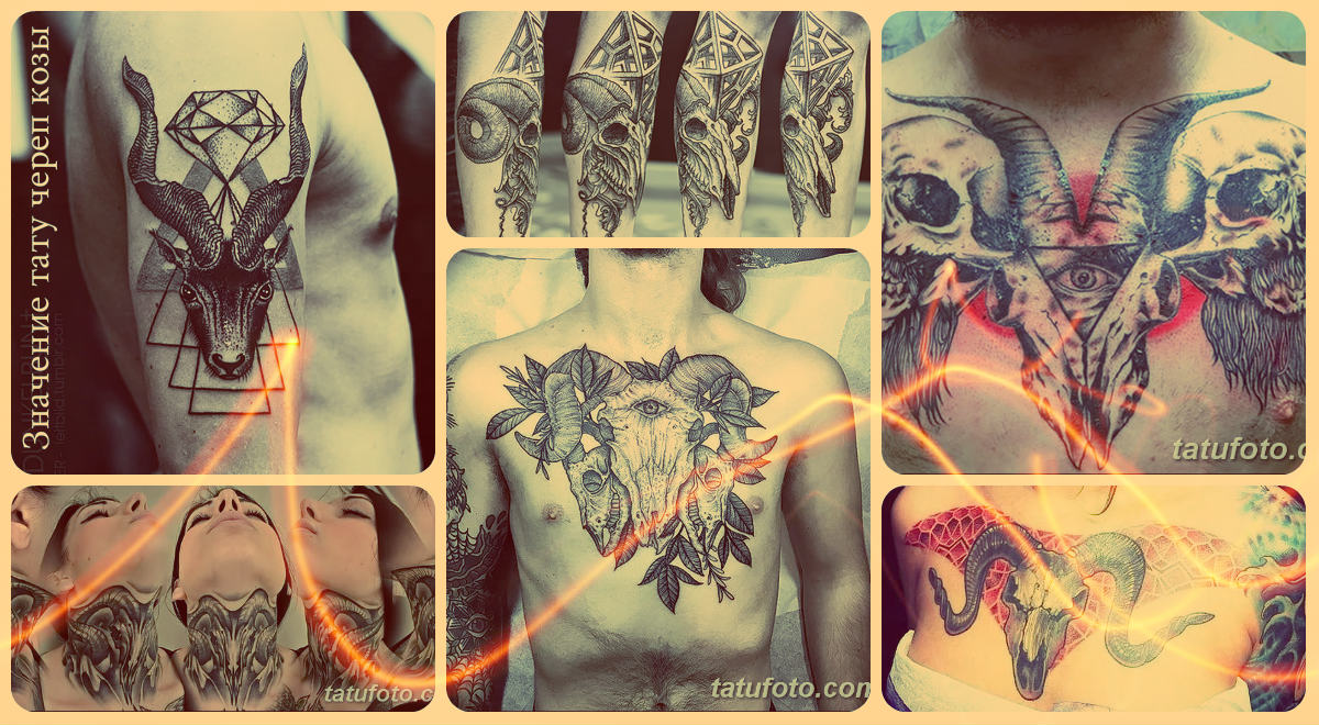 Значение тату череп козы - фото примеры рисунков татуировки