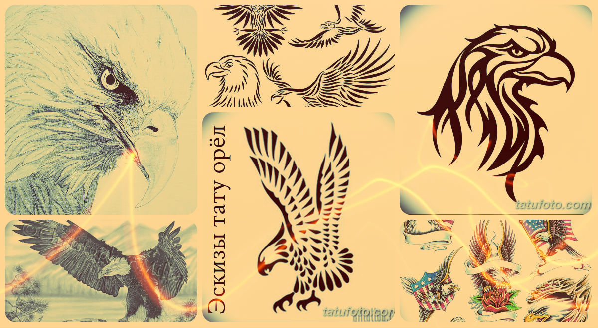 Эскизы тату орёл - варианты рисунков для татуировки с орлом