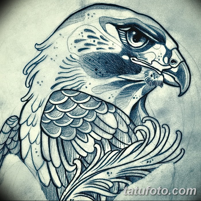 фото Эскизы тату орёл от 21.10.2017 №003 - Sketches of an eagle tattoo - tatufoto.com