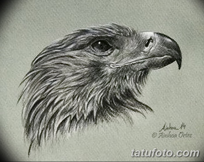 фото Эскизы тату орёл от 21.10.2017 №016 - Sketches of an eagle tattoo - tatufoto.com