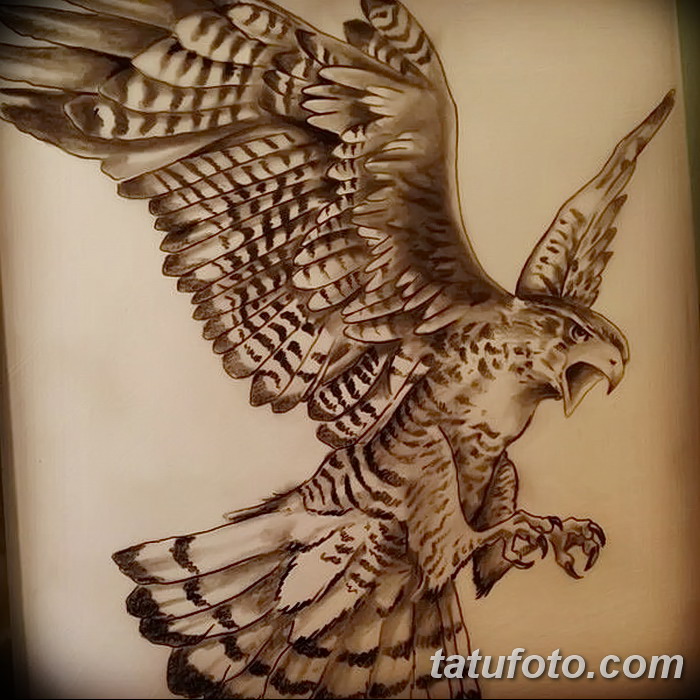 фото Эскизы тату орёл от 21.10.2017 №030 - Sketches of an eagle tattoo - tatufoto.com