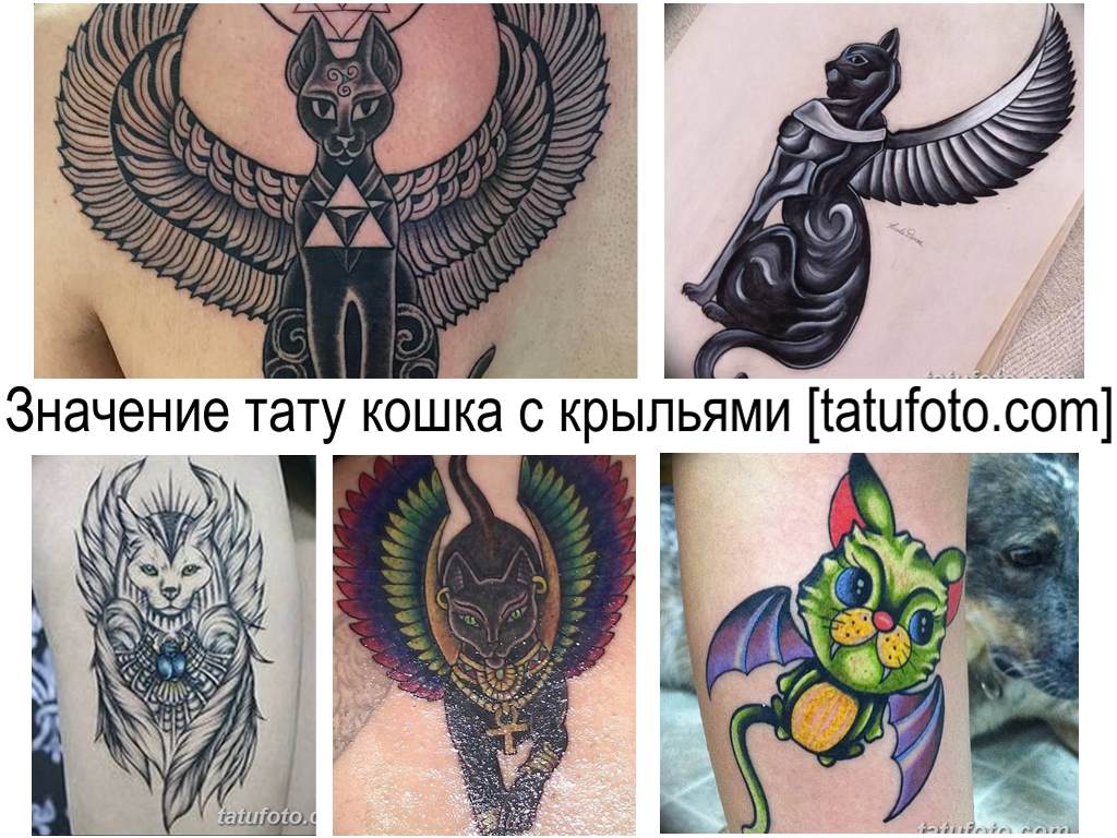 Значение тату кошка с крыльями - коллекция готовых рисунков татуировки на фото