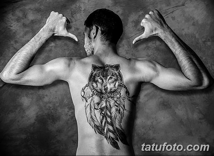 Значение тату волк с перьями - фото примеры интересных рисунков татуировки