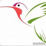 Эскизы тату колибри - оригинальные рисунки для татуировки