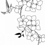 Фото эскиз тату колибри 15.10.2018 №006 - sketch of hummingbird tattoo - tatufoto.com