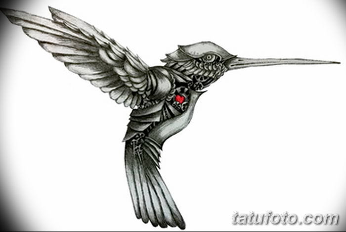 black and white hummingbird tattoo hummingbird and flower pencil