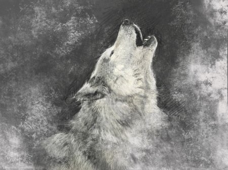 Фото белый волк с голубыми глазами 009