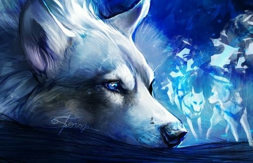 Фото белый волк с голубыми глазами 010