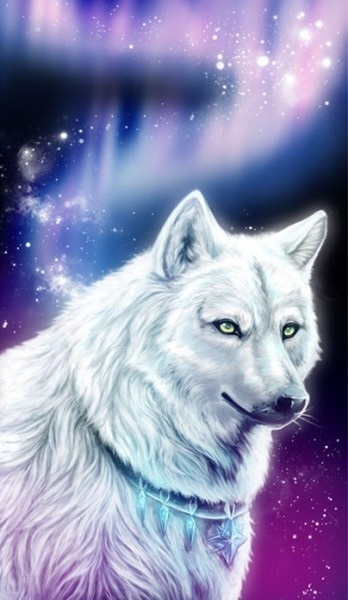 Фото белый волк с голубыми глазами 012