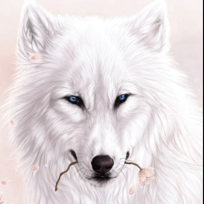Фото белый волк с голубыми глазами 013