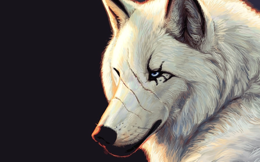 Фото белый волк с голубыми глазами 022