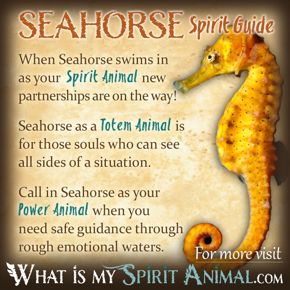 Seahorse Spirit Totem Power Animal Symbolism Meaning 1200x1200