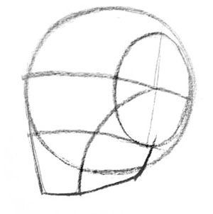 Angle of the head drawing