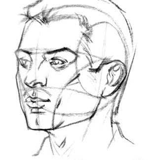 angles of the head portrait