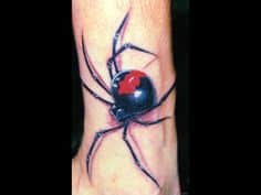 Spider Tattoo 7